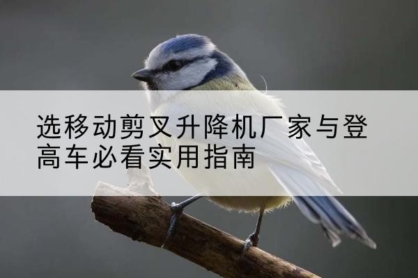 高陵电动升降机厂家-选移动剪叉升降机厂家与登高车必看实用指南