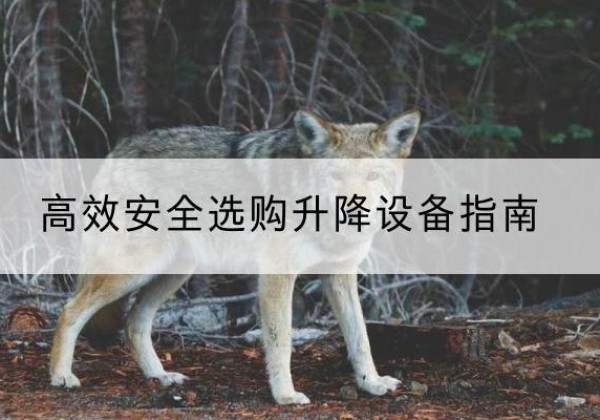 高陵升降货梯厂家推荐-*安全选购升降设备指南