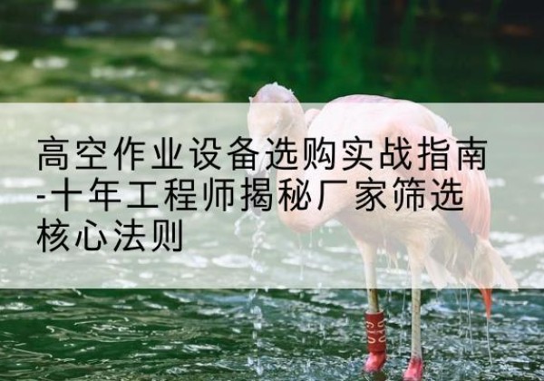 高陵剪叉式升降机厂家-高空作业设备选购实战指南-十年工程师揭秘厂家筛选核心法则